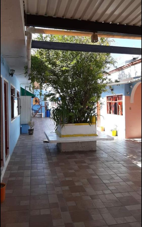 Hotel Reforma Inn Querétaro Extérieur photo